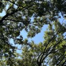 황송공원 교통교육장 | 더운 여름 8월에 남한산성 등산하기 🍀