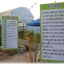 은지농장 이미지