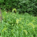 능허대공원 이미지