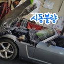 보성카밧데리 이미지