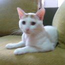 복산동-5 이미지