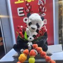 최강아지 이미지