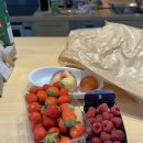 안시농장 이미지