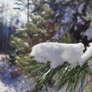 치악산둘레길 7코스 싸리지옛길 이미지