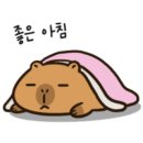 라테라스짐 이미지