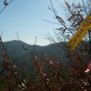 밤재마을 앞 이미지