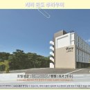 N무인텔 | 오키나와 캐리 콘도 추라우미: 인생뷰 숙소! 솔직 후기