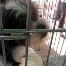 미관광장 이미지