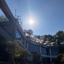 청주 동남지구 신상 카페 추천｜대형 베이커리 카페 그래비티빌리지