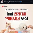 다움 펫푸드 네이버블로그