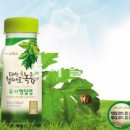 정직한녹즙