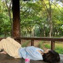 무등초등학교 이미지