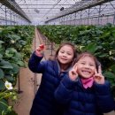 찬희농장 이미지