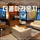 밍밍켄넬 | 하남 감일동 24시 대형카페 추천 애견동반 가능한 더콤마라운지