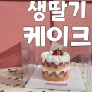 본노엘