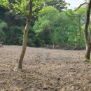 송이네농장 이미지