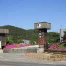 길우농장 이미지