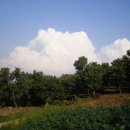 향기농장 이미지