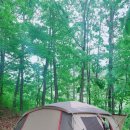 비채야영장 이미지