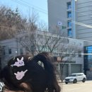 텐스탑 | 데이식스 데케이드 전국투어 해외투어 후기 모음