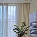 반석 더샵 | 대전 반석더샵 커튼 하면 떠오르는 그 이름 에일린데코