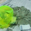 돼지저금통 이미지