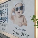 보생제 이미지