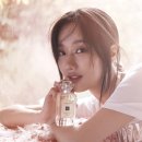 더 나은 이미지