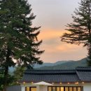 모꼬지 댕 이미지