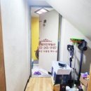 사림동195 이미지