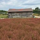 초지공원(하) 이미지