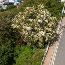 대항주차장 이미지