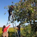 심재호농장 이미지