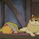 플란다스 개 이미지