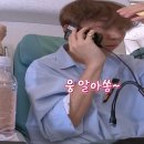 [캐럿로그] 나나투어 위버스 1화 후기 / 나나투어 위버스 버전 구매 방법