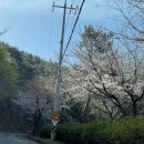 대금산진달래길(트레킹) 이미지