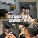 살롱블롱디캣츠 네이버블로그