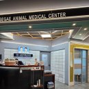 신세계동물병원 | 양산동물병원'신세계동물의료센터'