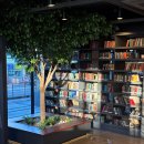 컴퓨터 SNS활용 | 울산컴퓨터학원 AI활용 영상콘텐츠 제작과정 전문적으로 배우고 싶다면