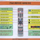 토마토무인텔 이미지