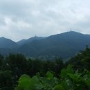 판암동240 이미지