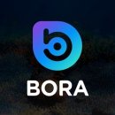 보라인력 티스토리