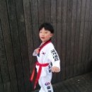 정도태권스쿨 이미지