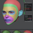 Polygon Re 이미지