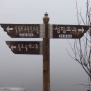 강변포구길 이미지
