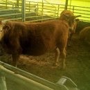 들풀농장 이미지