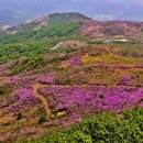 산들화원 - 창원시 의창구 화천로 25 | 산들화원