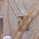 산새들공원 이미지