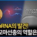 노벨 생리의학상 해설 1부! 노벨상 수상자의 연구조카가 해설해주는 microRNA 발견의 역사! 과연 예쁜꼬마선충은 어떻게 기여하였나? 이미지