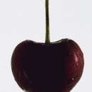 부기2 | 눈밑지방재배치 앞광대 지방이식 2차 후기 부기 없음